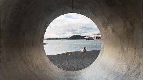 duck on beach through concrete pipe