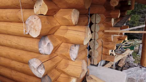 construction of a wooden house made from timber logs