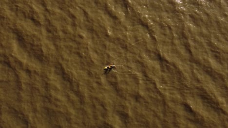 aerial top-down tracking over couple of rowers paddling in kayak at sunset