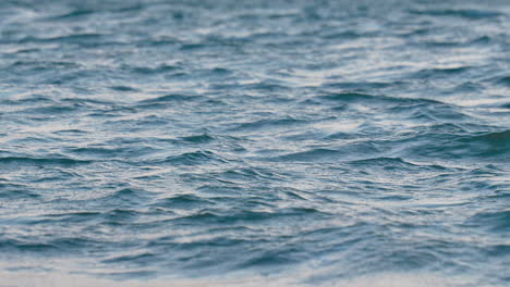 primer plano de las ondas ondulantes del océano, capturando la fascinante danza de la luz y las sombras en la superficie del agua