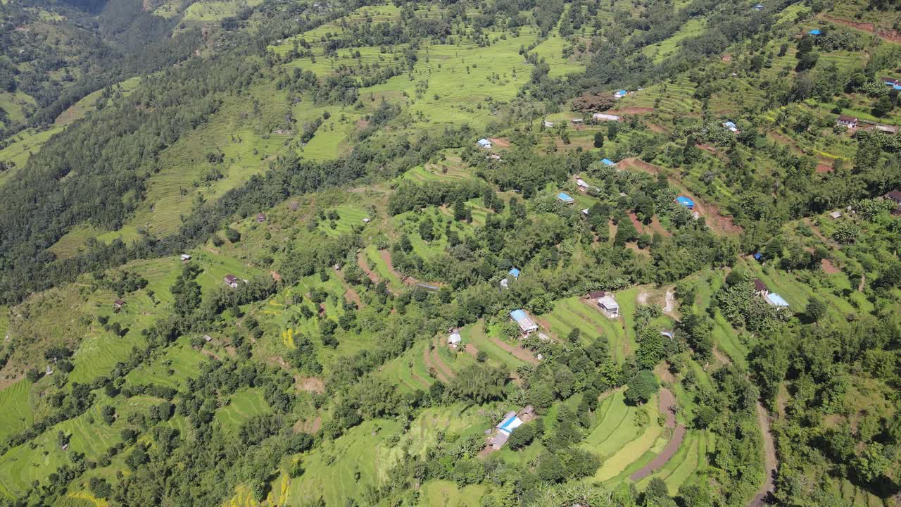 Droneoptagelser, der viser terrasseformet landbrugsjord og små landsbyhuse spredt ud over frodige, grønne bakker i Palpa-distriktet, Nepal, der fremhæver landlige landskaber og naturlig skønhed i naturen.