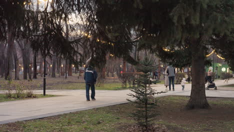 recreational park illuminated with christmas lights as people stroll on paved walkway, trees casting shadows, toddler with parents, distant dog, parked stroller, cars passing softly in evening