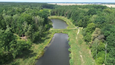 "Drone-glides-over-Europe's-dawn-lit-lake,-capturing-tranquil-lagoon,-lush-forest