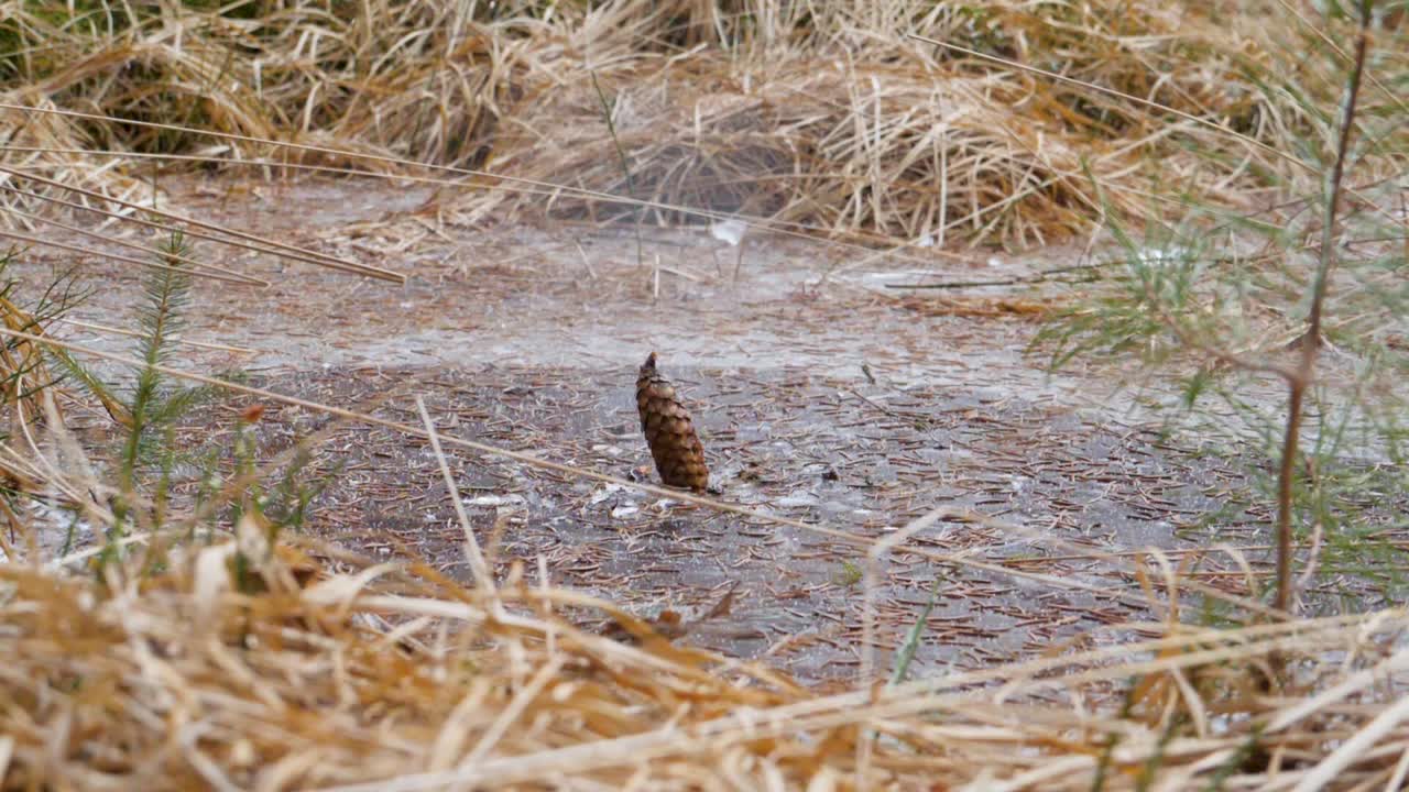 Slowmotion of petard exploding under water and moving cone twice
