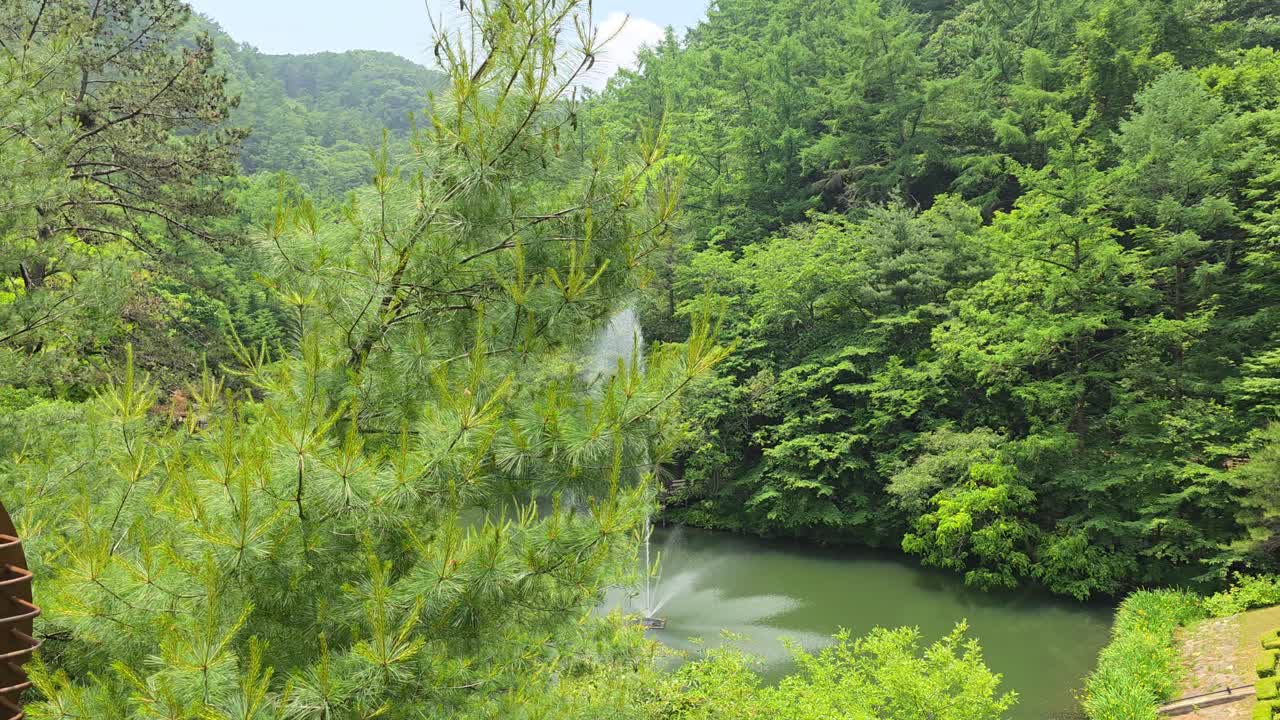 Camera glides out from behind dense pine branches, unveiling a tranquil pond with a tall water fountain nestled among lush green hills at Maninsan Ecological Park