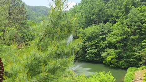 camera glides out from behind dense pine branches, unveiling a tranquil pond with a tall water fountain nestled among lush green hills at maninsan ecological park