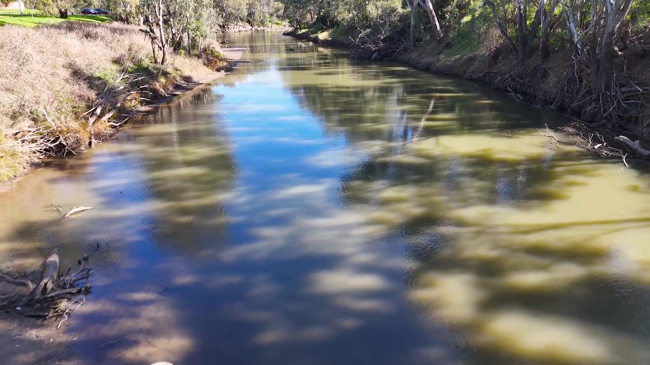 Drone-opname van een vredige rivier met zandbanken en eucalyptusbomen in Gunnedah, Australië