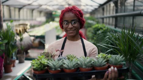 portrait of multiethnic worker holding row of young succulents, looking to the camera