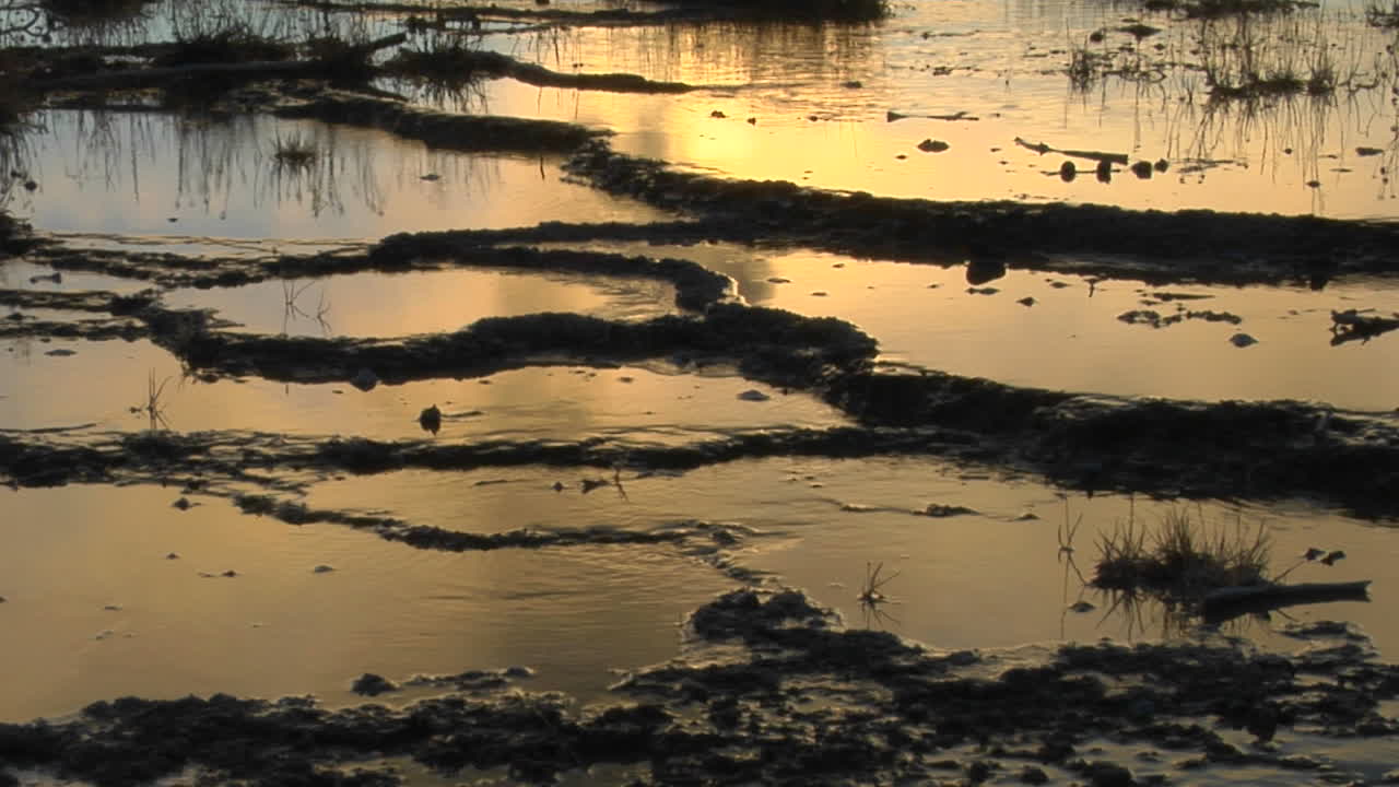 Hot Water Runs From A Volcanic Geyser Sending Steam Into The Sky In A Geothermal Area At Yellowstone National Park 1