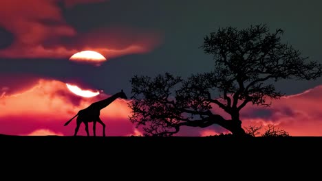 giraffe walking under a colorful sunset sky with a big tree silhouette