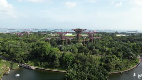 drone shot over the gardens by the bay forest in singapore