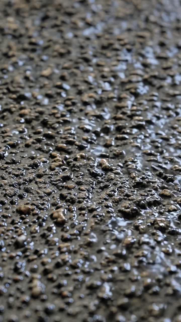 Vídeo em close-up de cascalho molhado com profundidade de campo rasa. O plano baixo captura a textura