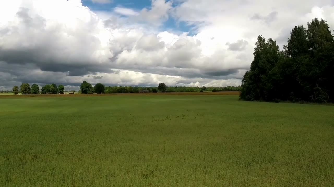 녹색 농업 분야. 공중 영상-3