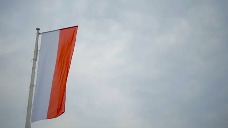 close up of polish flag national symbol of poland