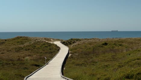 boardwalk through sand dunes looking out to sea