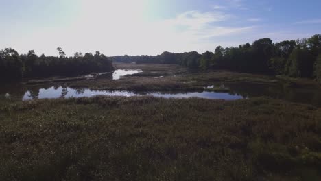 Flying-Low-Slow-Forwards-Over-The-Winding-River-on-a-Sunny-Morning