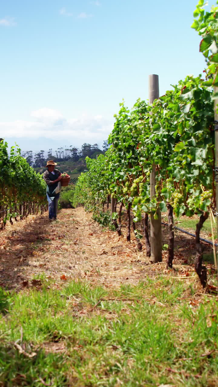 Wide angle view of farmer holding a fruits and vegetables basket