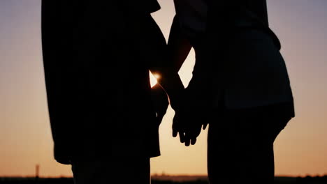 couple holding hands at sunset