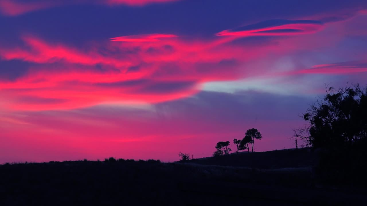 un hermoso amanecer o atardecer de otro mundo a lo largo de la costa de california con un árbol recortado en primer plano 1
