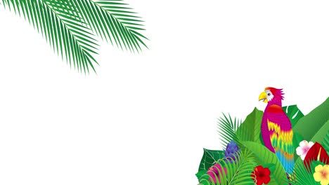 pájaros ficticios como loros con hojas y flores de plantas tropicales. material de video