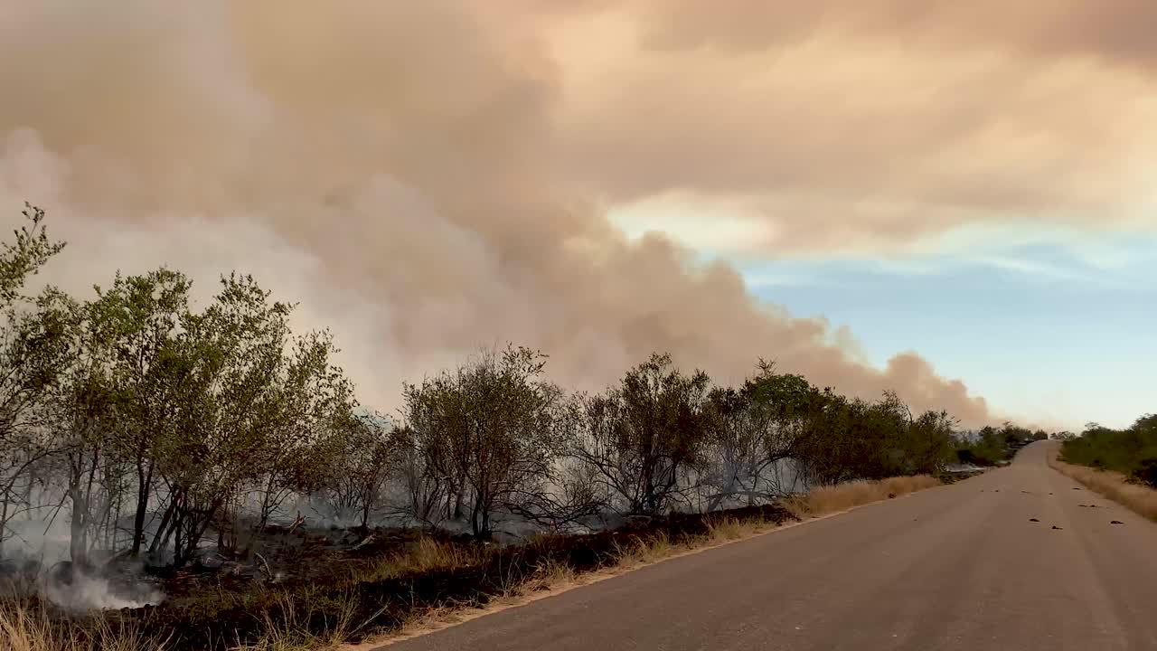 Wildfire Burning Along a Rural Road