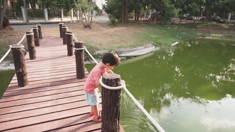 dolly clip of a two year old asian kid enjoying at an outdoor park feeding bread to the fish in a pond from a little wooden bridge at sunset