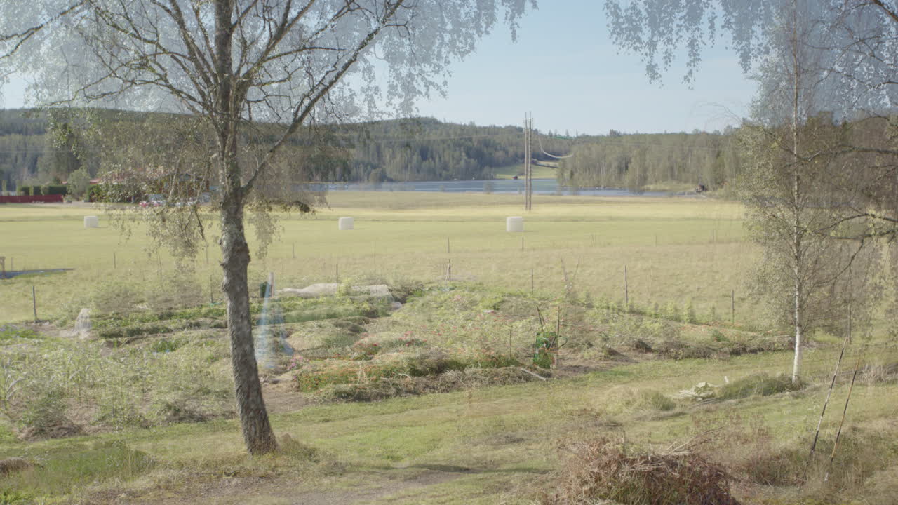 야채  ⁇ 의 긴 기간 시간 경과, 겨울에서 여름으로의 전환