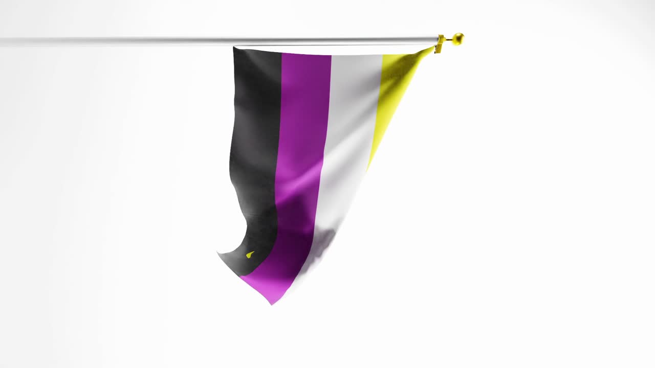 Vertikal video af ikke-binært Prideflag isoleret mod hvid baggrund