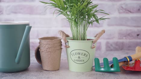 gardening supplies and a small plant