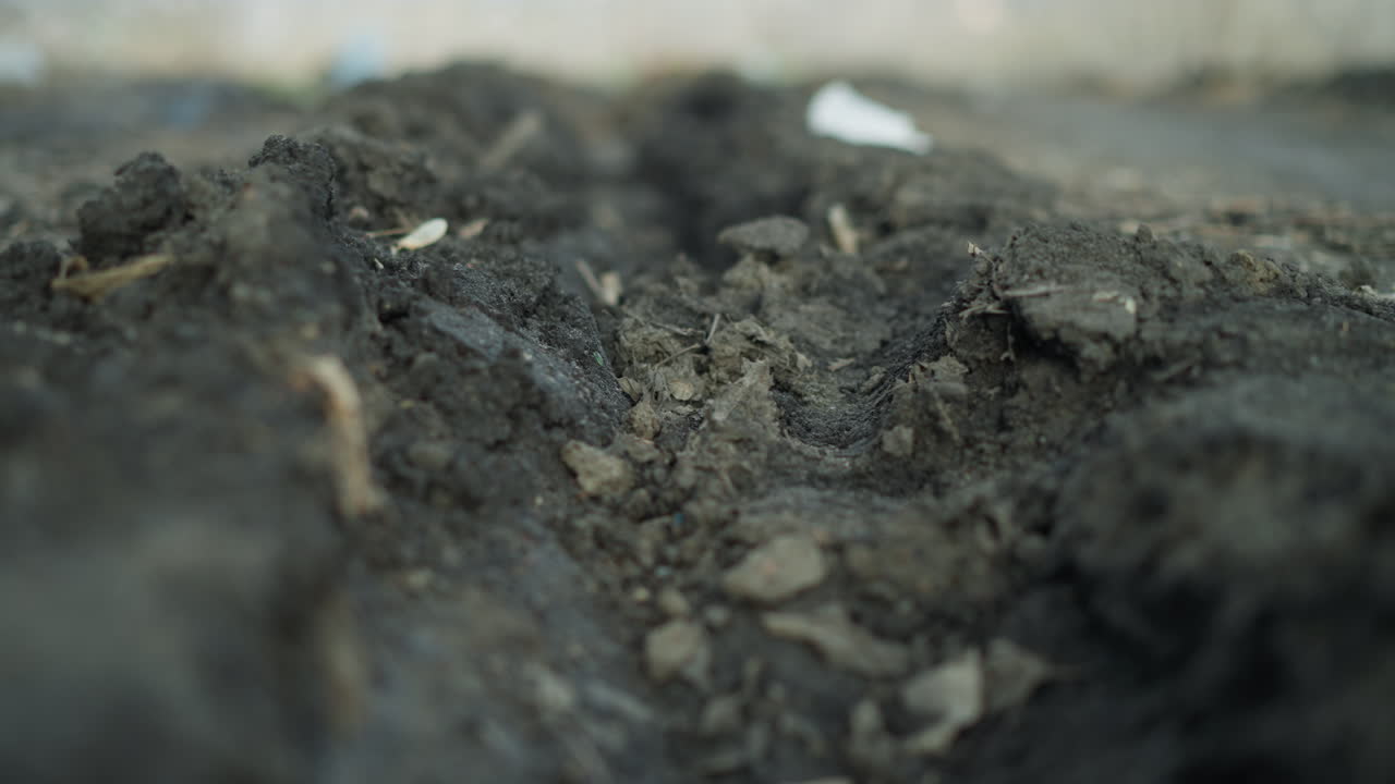 Close-up of a muddy trench on leaf-covered ground with intricate textures of wet soil, decaying leaves, and small debris