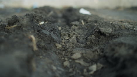 close-up of a muddy trench on leaf-covered ground with intricate textures of wet soil, decaying leaves, and small debris