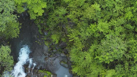 waterfall in forest of mt daisen, top down aerial view, tottori prefecture japan