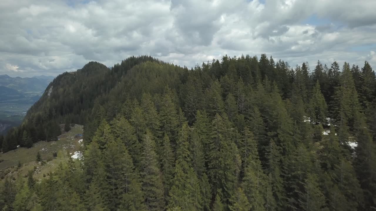 volando sobre las copas de los árboles en una majestuosa cordillera con picos nevados en la distancia