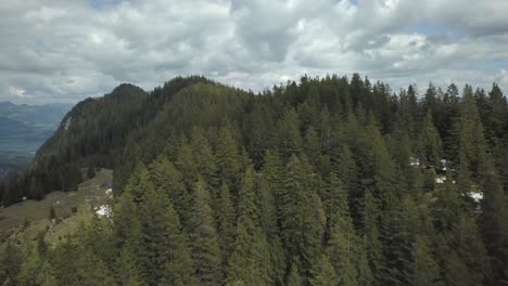 Flying-over-treetops-on-a-majestic-mountain-range-with-snowy-peaks-in-the-distance