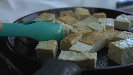 close up shot of tofu and special ingredients to cook a meal two cans of beans rice plantain avocado red onion and cilantro