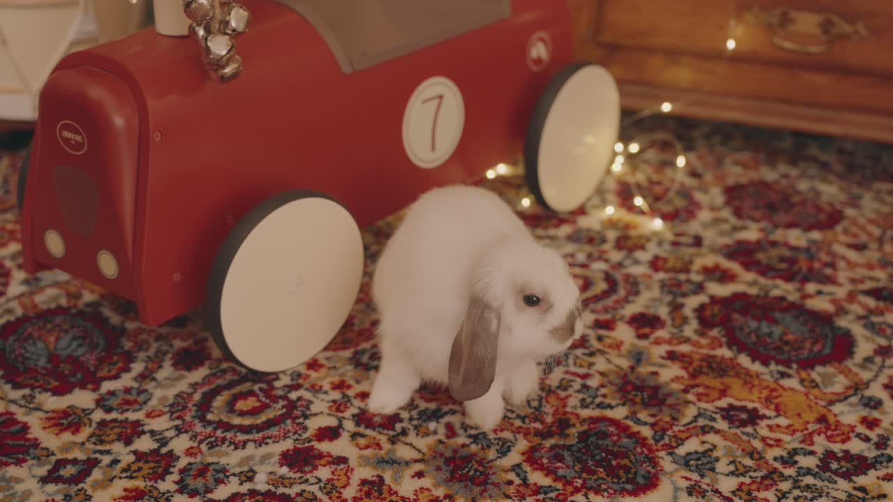 Adorable white bunny sitting near red vintage toy car on ornate rug
