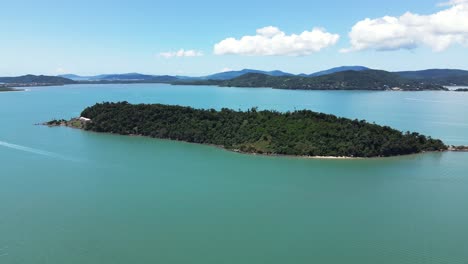 panoramic drone aerial scene of isolated tropical ratones island filled with atlantic forest trees and rocks with turquoise and cyan sea near daniela beach in florianópolis, brazil many birds in sky