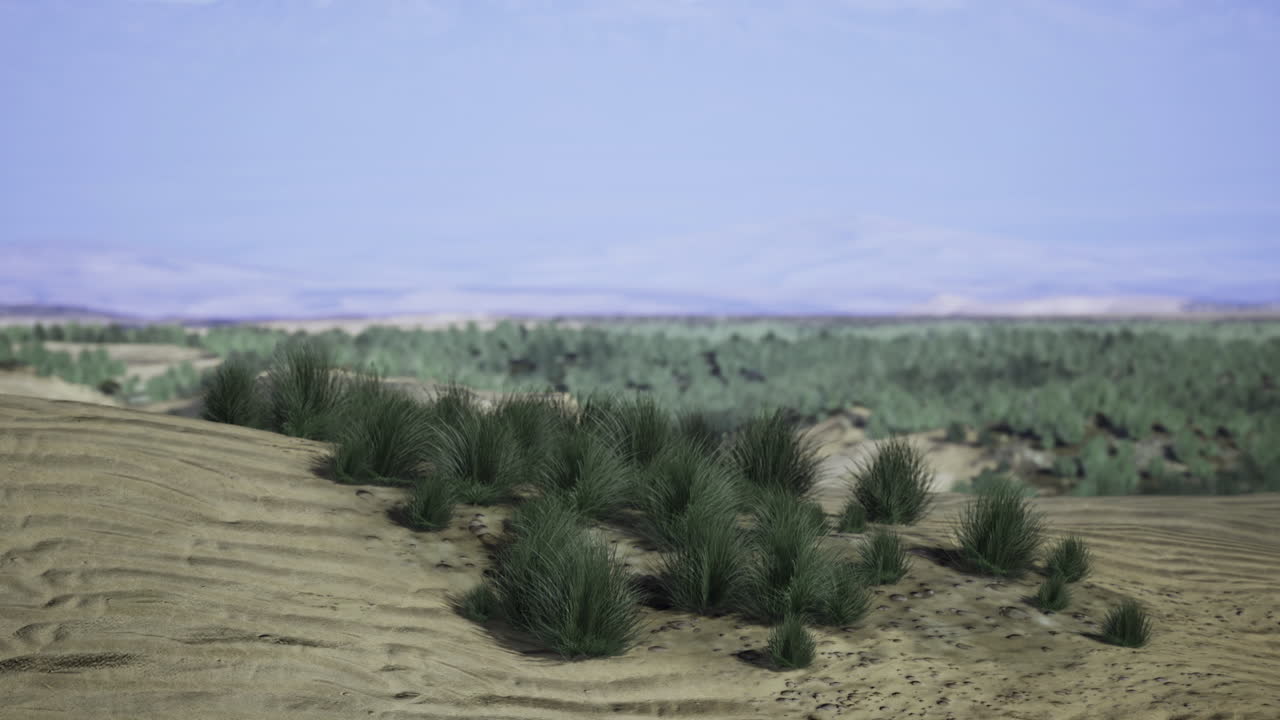View of green grasslands beyond sandy terrain in a vast landscape