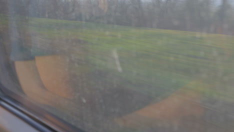 mujer haciendo pago en línea en el tren