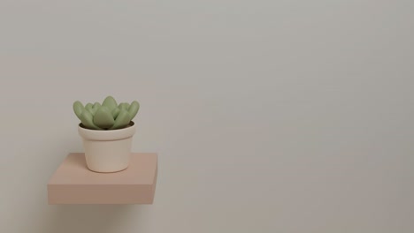 dancer succulent plant 3d animation