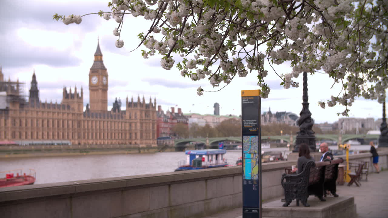 London, spring, Houses of Parliament from Albert Embankment
