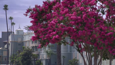 santa anita park clubhouse in arcadia, california with medium stable shot with flowers