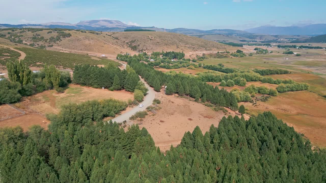 Fremadrettet flyvning over fyrreskov og grusvej i landlig dal. Liucura, Lonquimay, Chile