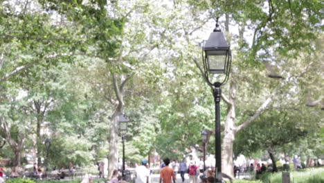 Bird Fly Together in the Park as Two Young Men Walk Away Through Crowds, Slow Motion