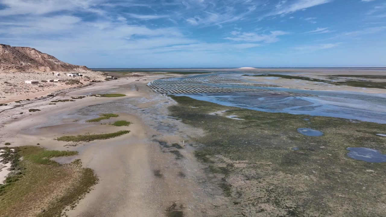 Luftfoto fra drone af Dakhla-lagunens kystnære vådområder og tidevandsflader, der afslører lavvandede tidevandskanaler, salttolerant vegetation og den unikke overgang mellem Atlanterhavskysten og Sahara.