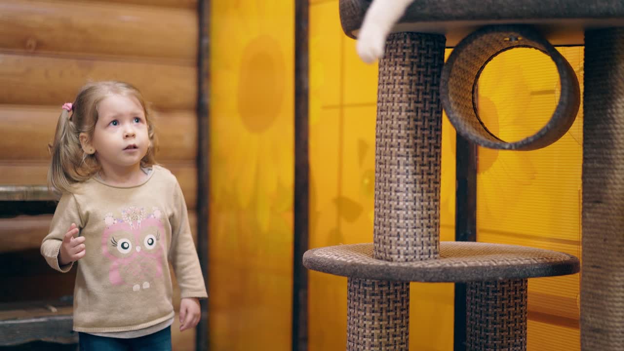 молодая мама и маленькая милая дочь играют с улыбающимися котятками.