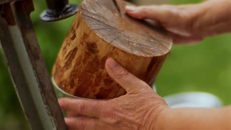 the fruit farmer crushes apples on a crushing machine making crushed apple