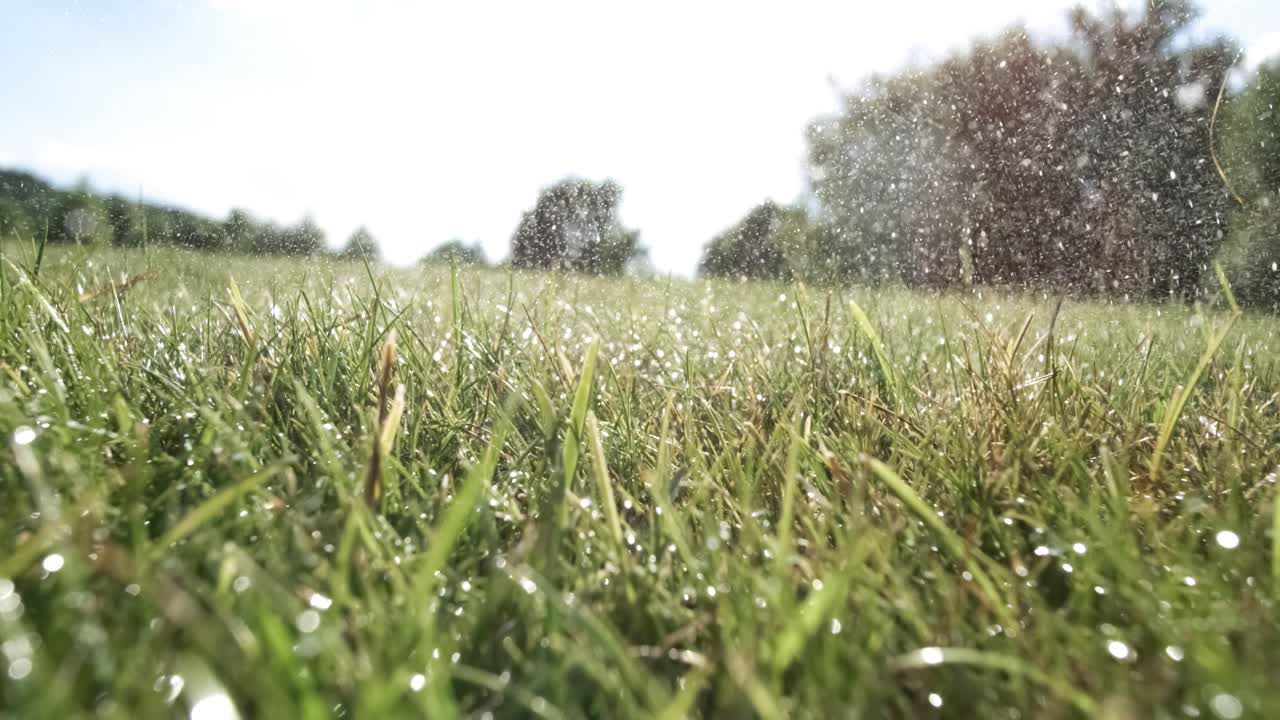 Golf club hits a golf ball in a super slow motion. Drops of morning dew and grass particles rise into the air after the impact