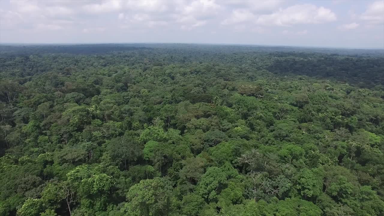 드론으로 높은 곳에서 촬영한 영상