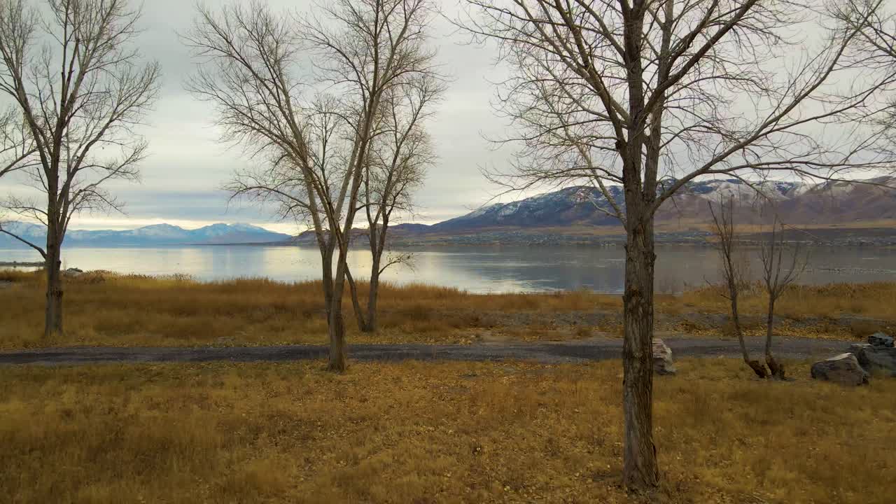 Ripresa aerea a bassa quota con allontanamento da un grande lago tra gli alberi lungo la riva in inverno